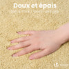Lot de 2 Tapis de Bain Antidérapant microfibre 60x90cm beige - vuunut.com