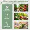 Mini Serre de jardin avec 3 portes enroulables bache PE renforcee 135g/m2 270x90x90cm Blanc - vuunut.com