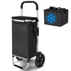 Chariot de course pliable aluminium 2 roues avec sac isotherme noir - vuunut.com