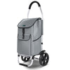 Chariot de course pliable aluminium 2 roues gris - vuunut.com