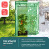 Serre de jardin Serre tomates avec grande porte enroulable bache PE renforcee 135g/m2 100x50x150cm Vert - vuunut.com