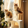 Arbre a chat Grande taille 5 niveaux avec griffoir grattoir 168cm beige - vuunut.com