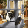 Arbre a chat Grande taille 5 niveaux avec griffoir grattoir 168cm gris - vuunut.com