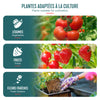 Serre de jardin Serre tomates avec grande porte enroulable bache PE renforcee 135g/m2 100x50x150cm Blanc - vuunut.com