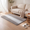 Tapis de salon poils ras doux antiderapant 80x150cm uni gris - vuunut.com