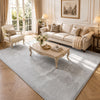 Tapis de salon poils ras doux antiderapant 200x300cm uni gris - vuunut.com