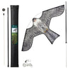 Cerf volant anti oiseaux effaroucheur avec mat Faucon modele A - vuunut.com