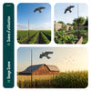 Lot de 2 Cerf volant anti oiseaux effaroucheur avec mat Faucon modele D et G - vuunut.com
