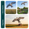 Cerf volant anti oiseaux effaroucheur sans mat Faucon modele A - vuunut.com