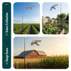 Lot de 2 Cerf volant anti oiseaux effaroucheur avec mat Faucon modele A et G - vuunut.com