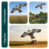 Cerf volant anti oiseaux effaroucheur sans mat Faucon modele E - vuunut.com