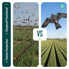 Cerf volant anti oiseaux effaroucheur sans mat Faucon modele F - vuunut.com