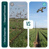Lot de 2 Cerf volant anti oiseaux effaroucheur avec mat Faucon modele E et G - vuunut.com