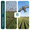 Cerf volant anti oiseaux effaroucheur sans mat Faucon modele C - vuunut.com