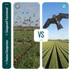 Cerf volant anti oiseaux effaroucheur sans mat Faucon modele D - vuunut.com