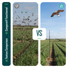 Lot de 2 Cerf volant anti oiseaux effaroucheur avec mat Faucon modele B et G - vuunut.com