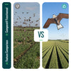 Cerf volant anti oiseaux effaroucheur sans mat Faucon modele B - vuunut.com