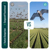Cerf volant anti oiseaux effaroucheur sans mat Faucon modele A - vuunut.com