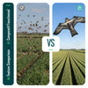 Cerf volant anti oiseaux effaroucheur sans mat Faucon modele E - vuunut.com