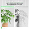 14 x Plaques de polycarbonate alveolaires transparent creux 4mm 121x60.5cm - vuunut.com