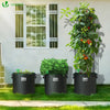 Lot 5 sacs de plantation non tisse 65L avec poignee Noir - vuunut.com